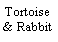 Text Box: Tortoise & Rabbit