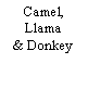 Text Box: Camel, Llama& Donkey