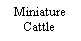 Text Box: MiniatureCattle