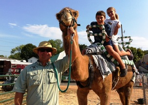 Camel Ride